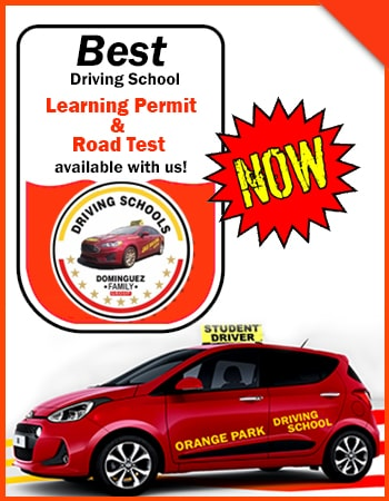 Learning Permit & Road Test